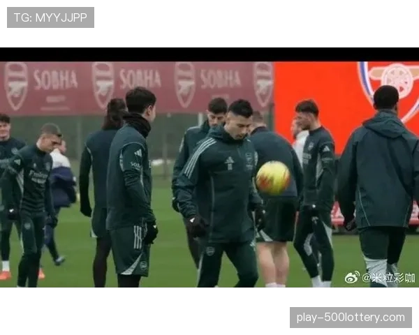 萨勒尼塔纳主力中卫训练中受伤,将缺席剩余所有联赛 萨勒尼塔纳主力中卫训练中受伤,将缺席剩余所有联赛